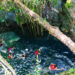 wisata Maratua