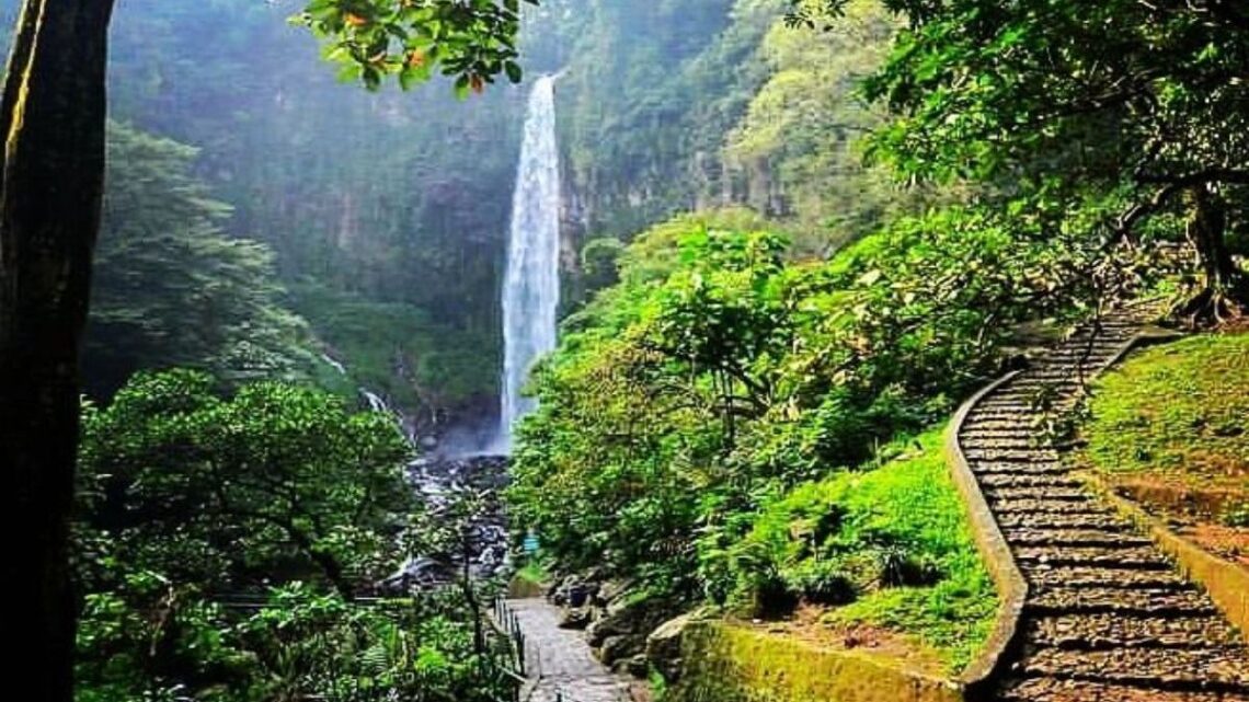 Taman wisata alam