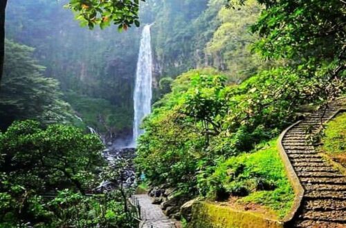 Taman wisata alam