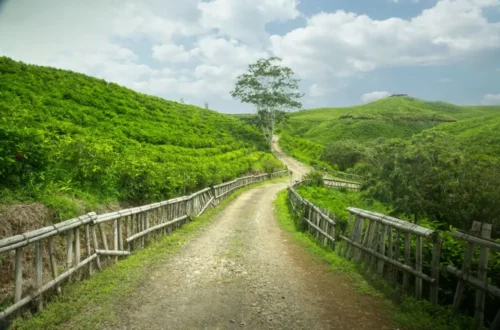 wisata Malino Highland