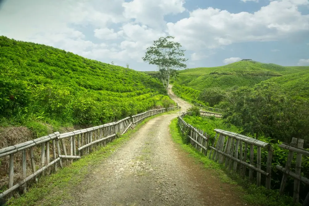wisata Malino Highland