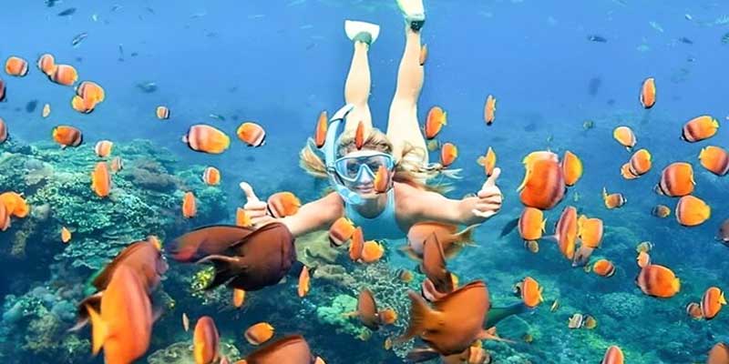 wisata snorkeling di Bali