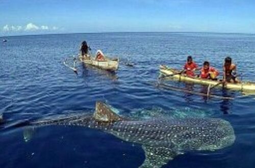 tempat wisata di Gorontalo