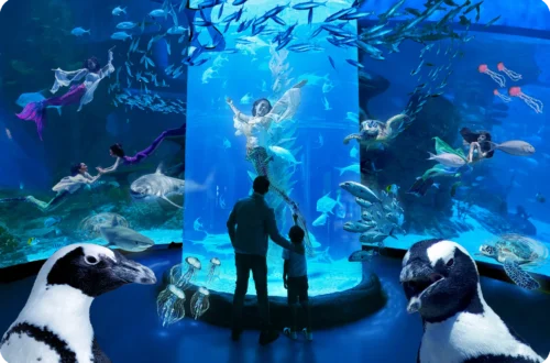 wisata akuarium Jakarta