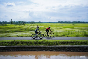 wisata sepeda Jogja
