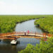 wisata hutan mangrove Kota Langsa
