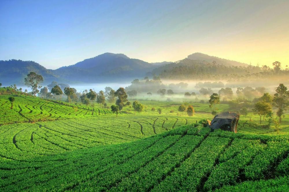 tempat wisata di Subang