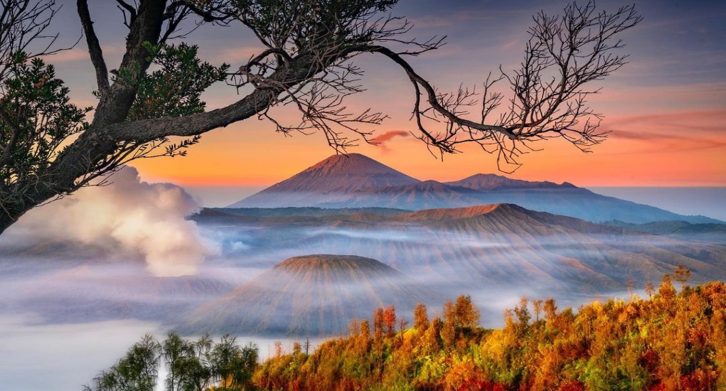 wisata Bromo Malang