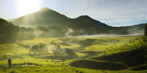 Taman wisata alam
