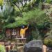 Wisata Banyu Mili