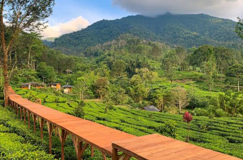 Tempat Wisata Puncak Bogor
