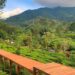 Tempat Wisata Puncak Bogor