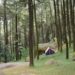 Wisata Alam Gunung Pancar