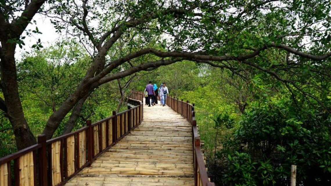eco wisata mangrove gunung anyar