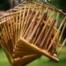 Alat Musik Sunda Angklung
