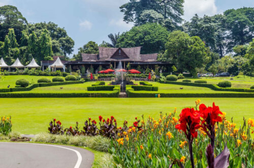 Bogor Botanical Gardens