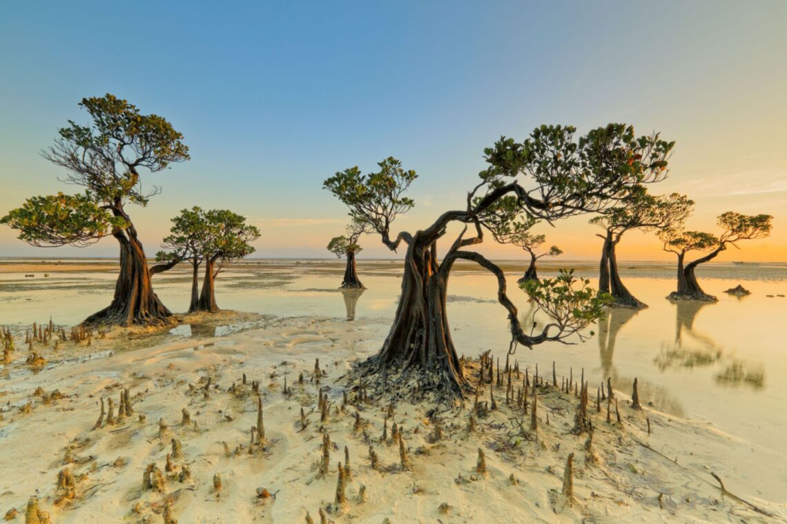 wisata Pulau Sumba